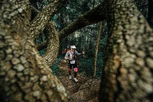 BIB: 
                            <button type="button" onclick="openModal(25703275)" class="btn btn-primary btn-sm float-right btn-popup" data-toggle="modal" data-target=".modal-high-quality">
                        <i class="fas fa-shopping-cart"></i> Add to Cart
                    </button>
                                            <button type="button" onclick="isThisMe(25703275, true)" class="btn btn-success btn-sm float-right btn-popup btn-isme hidden" data-toggle="tooltip" data-placement="bottom" title="นี่คือรูปของคุณใช่ไหม คลิกที่นี่เพื่อเอาเข้าอัลบั้ม">
                        <i class="fas fa-plus"></i> Add to album
                    </button>
                    <button type="button" onclick="isThisMe(25703275, false)" class="btn btn-warning btn-sm float-right btn-popup btn-isnotme hidden">
                        <i class="fas fa-ban"></i> Remove from album
                    </button>